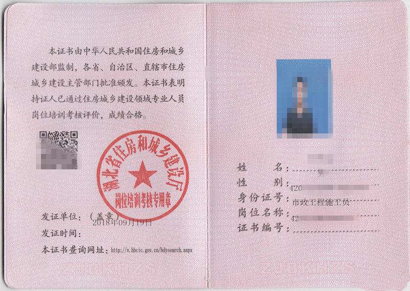 timg_副本.jpg