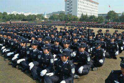 下载 (1).jpg